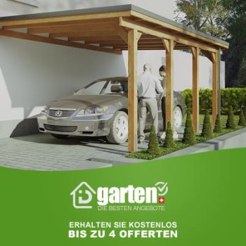 carport holz