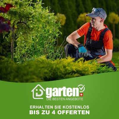 Gartenpflege basel
