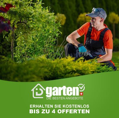 Gartenpflege bern
